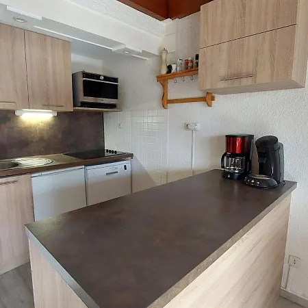 Duplex Montagne Avec Balcon Au Pied Des Pistes, 8 Pers., Parking Prive - Fr-1-516-102 شقة